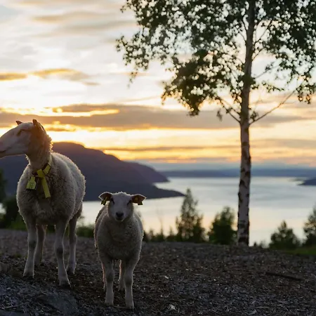 Konglehytta 1 - 30 Min Fra Osl - Badstu - Utsikt - Romantikk *