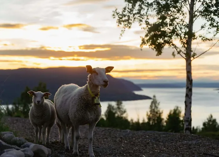 Konglehytta 1 - 30 Min Fra Osl - Badstu - Utsikt - Romantikk Strandlykkja