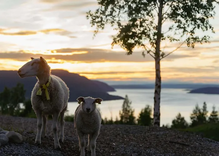 Konglehytta 1 - 30 Min Fra Osl - Badstu - Utsikt - Romantikk *
